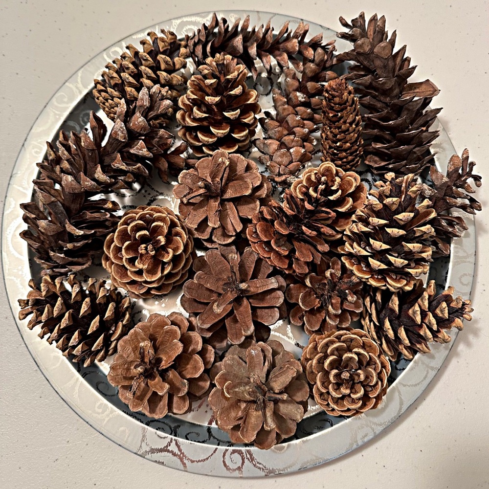 Pinecones Assorted Holiday Decor